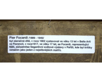 Cesta s cypřiši