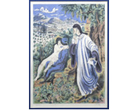 Knižní ilustrace