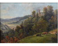 Krávy v krajině