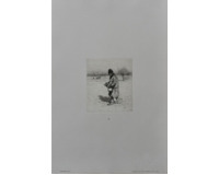 Rozsévač + reprodukce