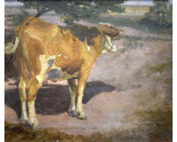 Kravka