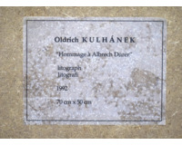 Hommage á Albrecht Dürer