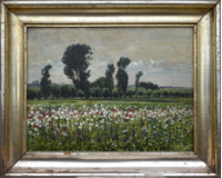 Makové pole