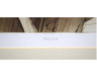 Terapie