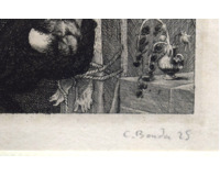 Ilustrace ke knize