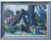 Kmeny