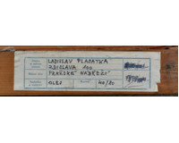 Pražské nábřeží