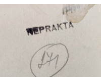 Rybář