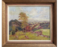 Kamenitý vrch