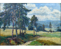 Letní krajina s borovicemi