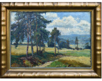 Letní krajina s borovicemi