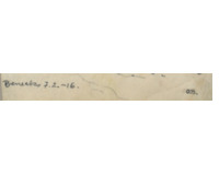 Benecko 1916