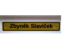 Abstrakce s červenou