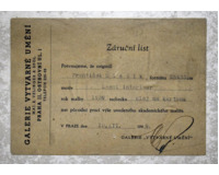Lesní interier