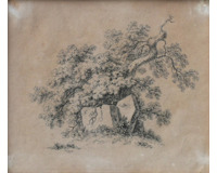 Strom  - 1830