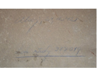 Lokomotiva Typ - 387019