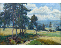 Letní krajina s borovicemi